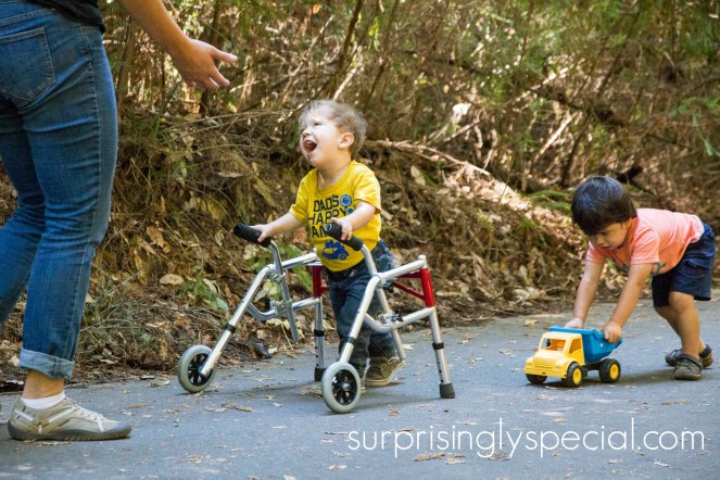 henry with reverse walker.jpg