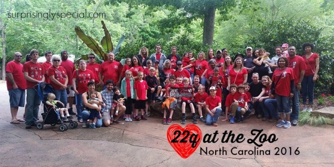 22q at the zoo NC group