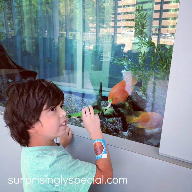 IMG_20170719_130355_978 - Copy