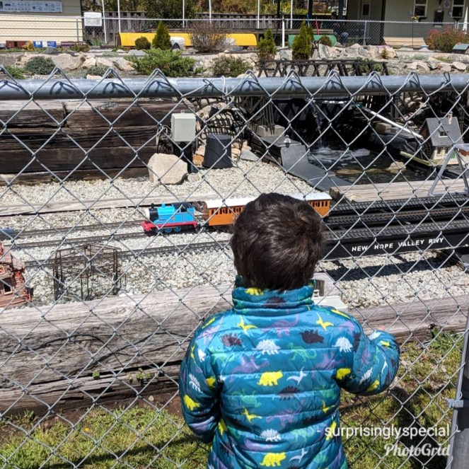 photogrid_1529701881288