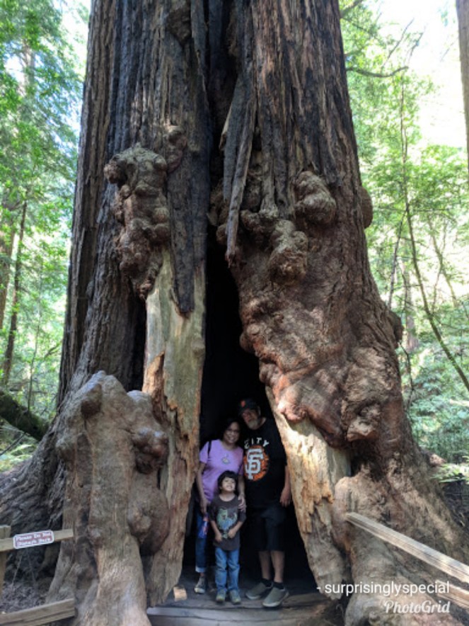 photogrid_1533830094683