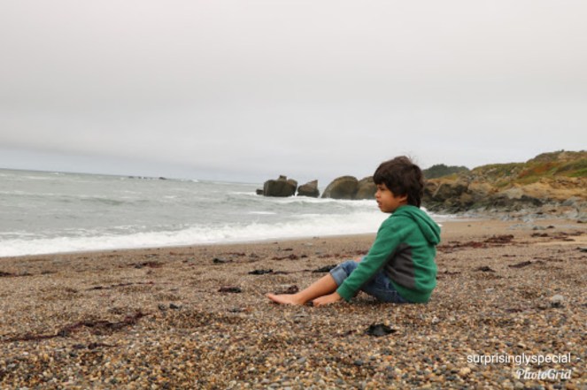 photogrid_1533830326263