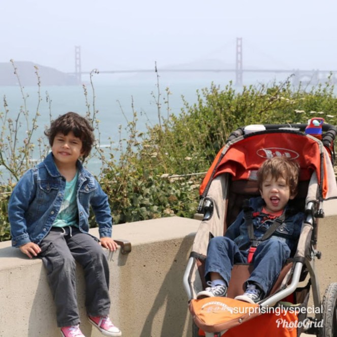 photogrid_1533830349756